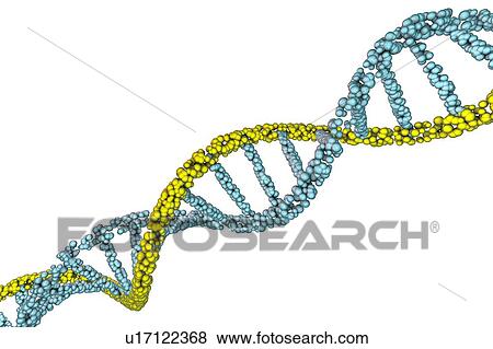 DNA molecule, illustration View Large Photo Image Stock Photo - DNA molecule, illustration. Fotosearch