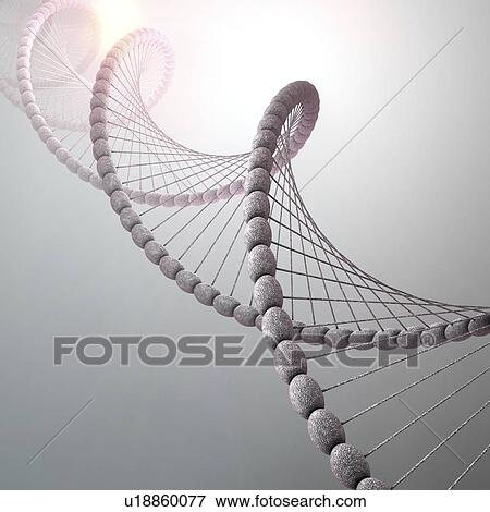 Stock Photo - DNA molecule, illustration. Fotosearch