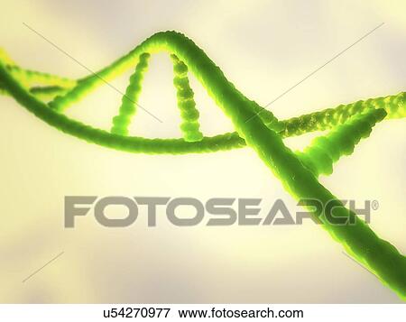 DNA molecule, illustration View Large Photo Image Stock Photo - DNA molecule, illustration. Fotosearch