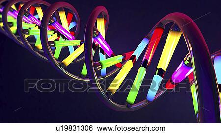 DNA molecule, illustration View Large Photo Image Stock Photograph - DNA molecule, illustration. Fotosearch