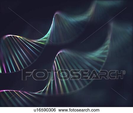 Stock Photograph - DNA molecules, computer illustration.. Fotosearch