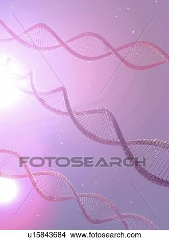 Picture - DNA molecules, illustration. Fotosearch