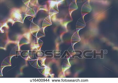DNA molecules, illustration View Large Photo Image Picture - DNA molecules, illustration. Fotosearch