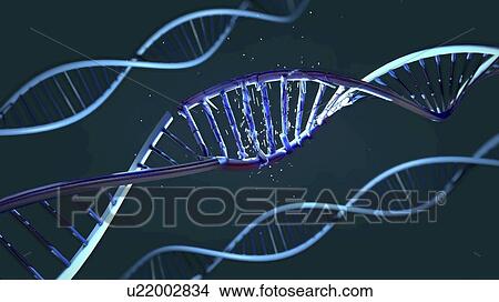 Picture - DNA molecules, illustration. Fotosearch