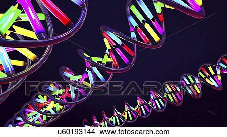 Picture - DNA molecules, illustration. Fotosearch