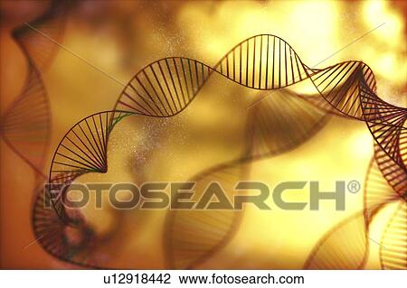 Stock Image - DNA molecules, illustration. Fotosearch