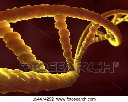 DNA molecules, illustration View Large Photo Image Stock Image - DNA molecules, illustration. Fotosearch