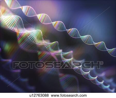DNA molecules, illustration View Large Photo Image Stock Photo - DNA molecules, illustration. Fotosearch