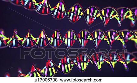 Stock Photo - DNA molecules, illustration. Fotosearch