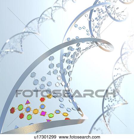 DNA molecules, illustration View Large Photo Image Stock Photo - DNA molecules, illustration. Fotosearch