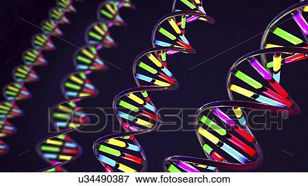 DNA molecules, illustration View Large Photo Image Stock Photo - DNA molecules, illustration. Fotosearch