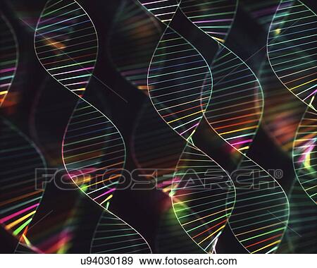 DNA molecules, illustration View Large Photo Image Stock Photo - DNA molecules, illustration. Fotosearch