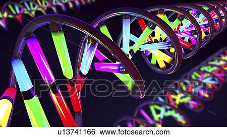 DNA molecules, illustration View Large Photo Image Stock Photograph - DNA molecules, illustration. Fotosearch
