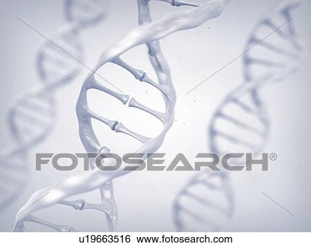 DNA molecules, illustration View Large Photo Image Stock Photograph - DNA molecules, illustration. Fotosearch