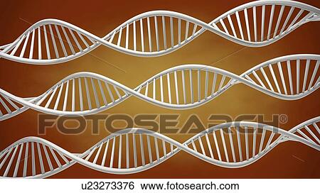 DNA molecules, illustration View Large Photo Image Stock Photograph - DNA molecules, illustration. Fotosearch