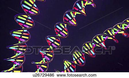 Stock Photograph - DNA molecules, illustration. Fotosearch