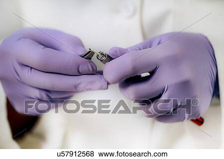 Stock Photo - Eyebrow microblading. Fotosearch
