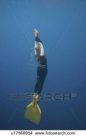 Female free diver View Large Photo Image Picture - Female free diver. Fotosearch