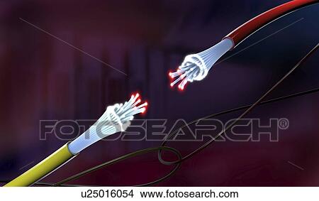 Picture - Fibre optics, illustration. Fotosearch