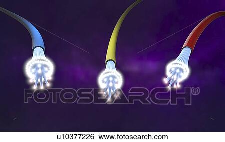 Stock Photograph - Fibre optics, illustration. Fotosearch