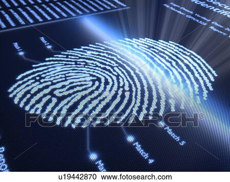 Stock Image - Fingerprint identification, illustration.. Fotosearch