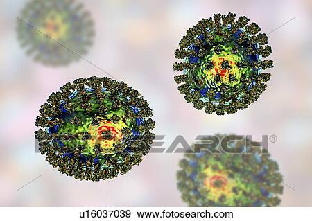 Stock Photo - Flu viruses, illustration. Fotosearch