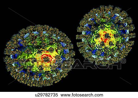 Stock Photography - Flu viruses, illustration. Fotosearch