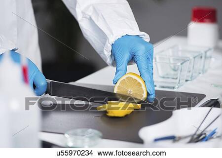 Food safety inspector testing fruit View Large Photo Image Picture - Food safety inspector testing fruit. Fotosearch