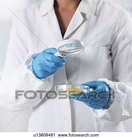 Food safety inspector testing fruit View Large Photo Image Stock Image - Food safety inspector testing fruit. Fotosearch