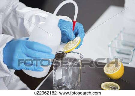 Stock Image - Food safety inspector testing fruit. Fotosearch