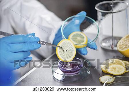 Stock Photo - Food safety inspector testing fruit. Fotosearch