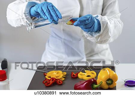 Stock Image - Food safety inspector working with vegetables. Fotosearch