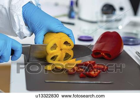 Food safety inspector working with vegetables View Large Photo Image Stock Image - Food safety inspector working with vegetables. Fotosearch