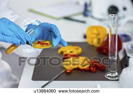 Stock Image - Food safety inspector working with vegetables. Fotosearch
