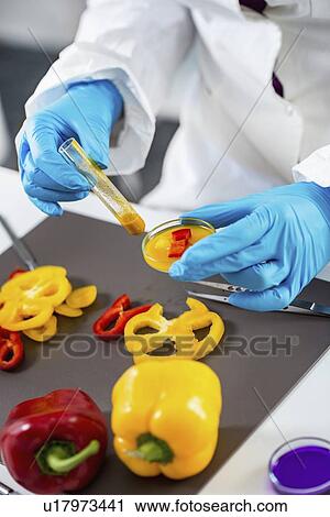 Stock Image - Food safety inspector working with vegetables. Fotosearch
