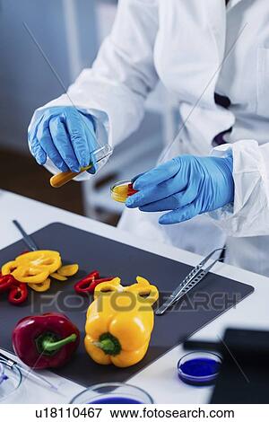 Stock Photo - Food safety inspector working with vegetables. Fotosearch