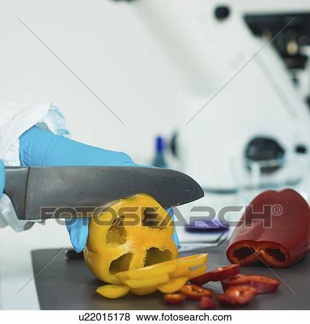Stock Photo - Food safety inspector working with vegetables. Fotosearch
