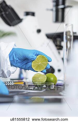 Food safety laboratory analysis View Large Photo Image Stock Image - Food safety laboratory analysis. Fotosearch