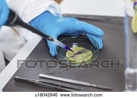 Stock Photograph - Food safety laboratory analysis. Fotosearch