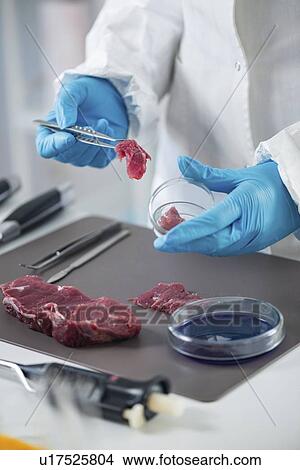 Picture - Food safety laboratory. Fotosearch