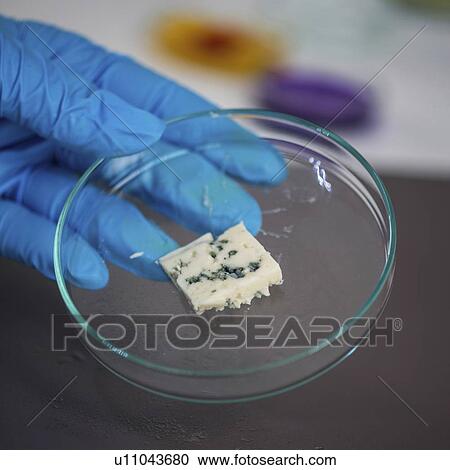 Stock Image - Food safety laboratory. Fotosearch