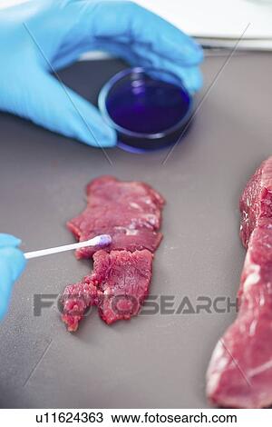 Stock Image - Food safety laboratory. Fotosearch