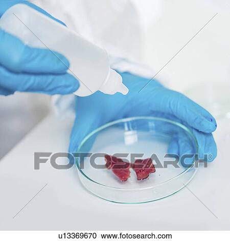 Food safety laboratory View Large Photo Image Stock Image - Food safety laboratory. Fotosearch