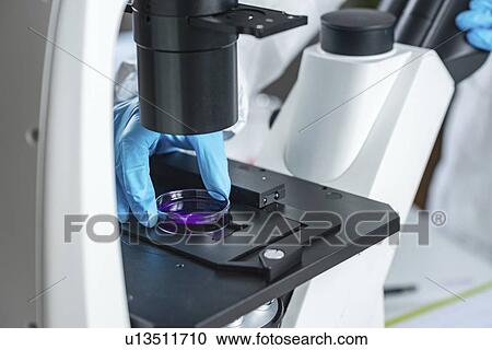 Stock Image - Food safety laboratory. Fotosearch