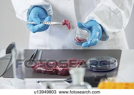 Stock Image - Food safety laboratory. Fotosearch