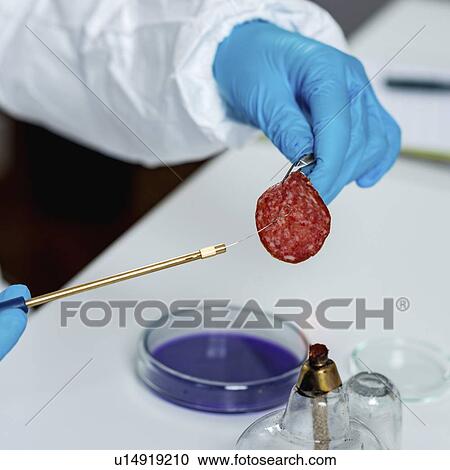 Stock Image - Food safety laboratory. Fotosearch