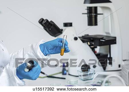 Food safety laboratory View Large Photo Image Stock Image - Food safety laboratory. Fotosearch