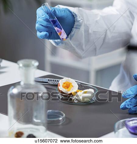 Food safety laboratory View Large Photo Image Stock Image - Food safety laboratory. Fotosearch
