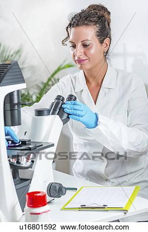 Stock Image - Food safety laboratory. Fotosearch