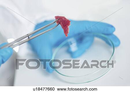 Food safety laboratory View Large Photo Image Stock Image - Food safety laboratory. Fotosearch